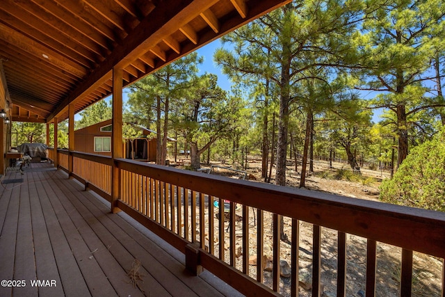 1034 Snowy Rock Ridge Dr, Show Low, AZ 85901 - photo 28