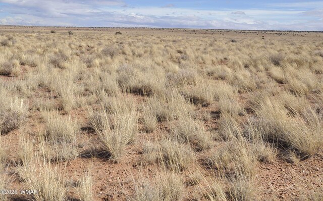 8037 Uttecht Trl, Snowflake, AZ 85937 - photo 13