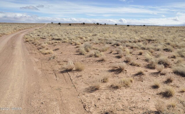 8037 Uttecht Trl, Snowflake, AZ 85937 - photo 4