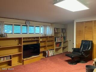 living area with carpet floors