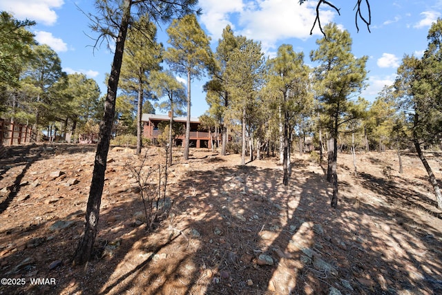1601 N Stagecoach Cir, Show Low, AZ 85901 - view of yard