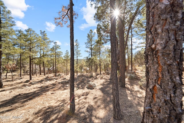 1601 N Stagecoach Cir, Show Low, AZ 85901 - view of nature