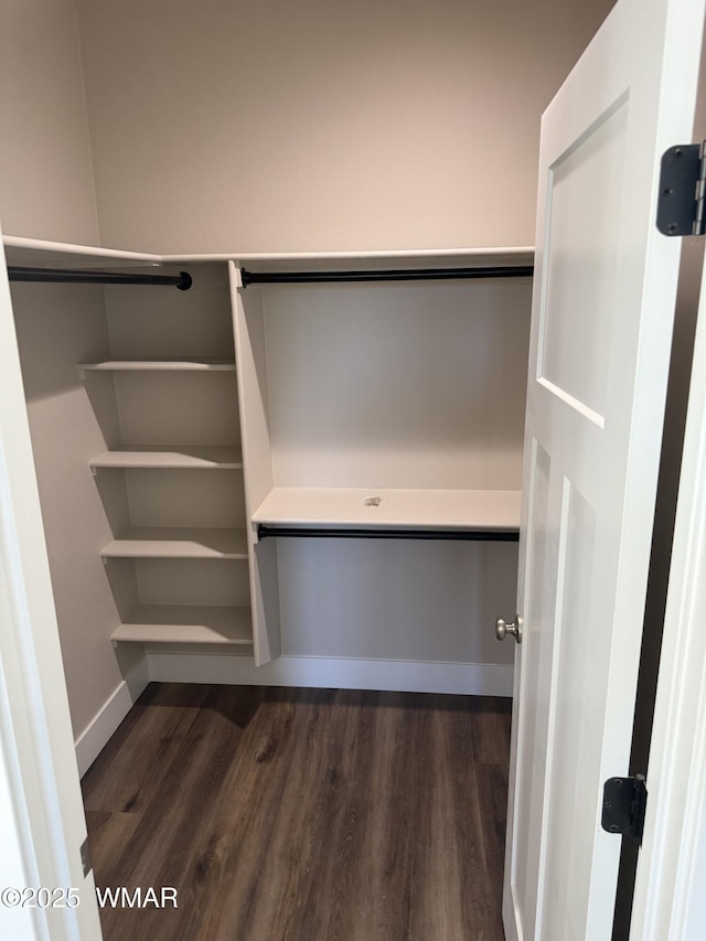 881 S Ridgeway Pl, Show Low, AZ 85901 - walk in closet with dark wood-type flooring