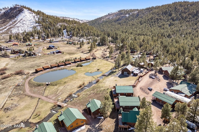 aerial view featuring a wooded view and a mountain view