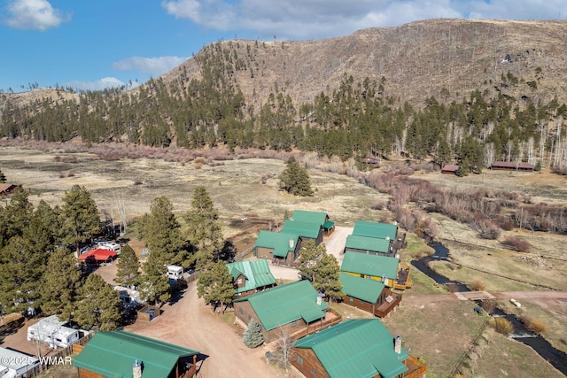 birds eye view of property with a mountain view