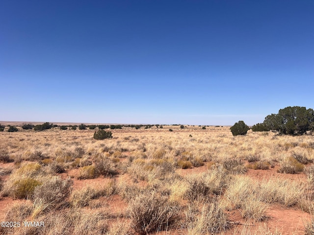598B Hopi Ln, Snowflake, AZ 85937 - photo 4