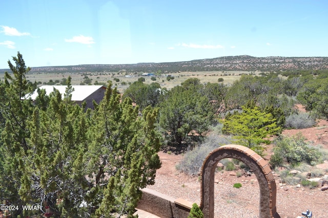 3733 Del Contento, Snowflake, AZ 85937 - photo 25