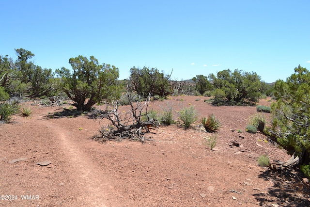 3733 Del Contento, Snowflake, AZ 85937 - photo 42