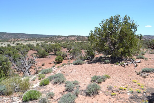 3733 Del Contento, Snowflake, AZ 85937 - photo 49