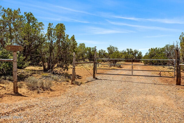3733 Del Contento, Snowflake, AZ 85937 - photo 64