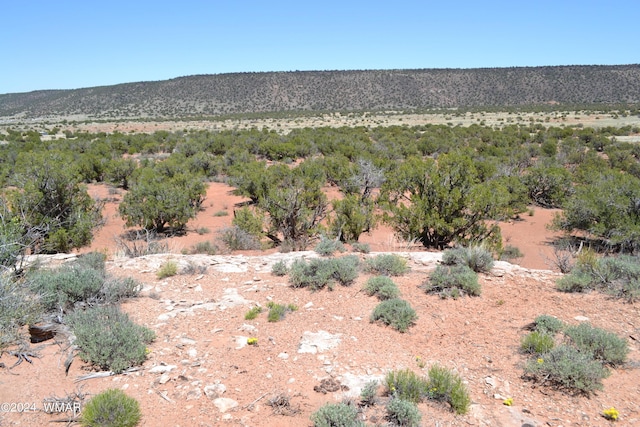 3733 Del Contento, Snowflake, AZ 85937 - photo 48