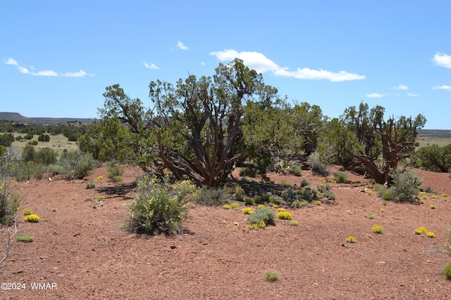 3733 Del Contento, Snowflake, AZ 85937 - photo 43