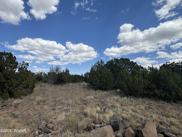 8482 Cannon Blvd, Show Low AZ, 85901 land for sale