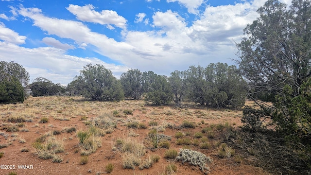 4427 E Pinto Rd, Snowflake, AZ 85937 - photo 4