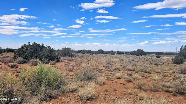 4427 E Pinto Rd, Snowflake, AZ 85937 - photo 11