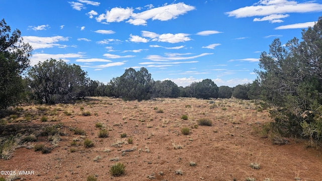 4427 E Pinto Rd, Snowflake, AZ 85937 - photo 8