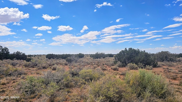4427 E Pinto Rd, Snowflake, AZ 85937 - photo 9