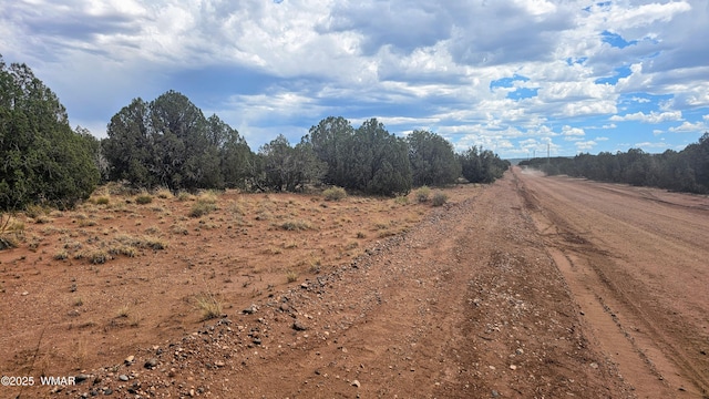 4427 E Pinto Rd, Snowflake, AZ 85937 - photo 2