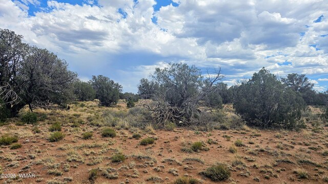 4427 E Pinto Rd, Snowflake, AZ 85937 - photo 6