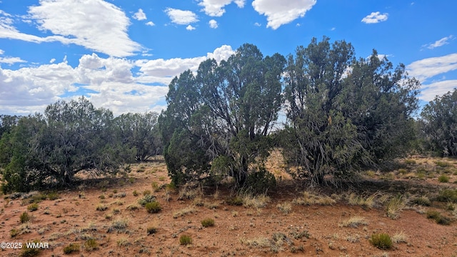 4427 E Pinto Rd, Snowflake, AZ 85937 - photo 7