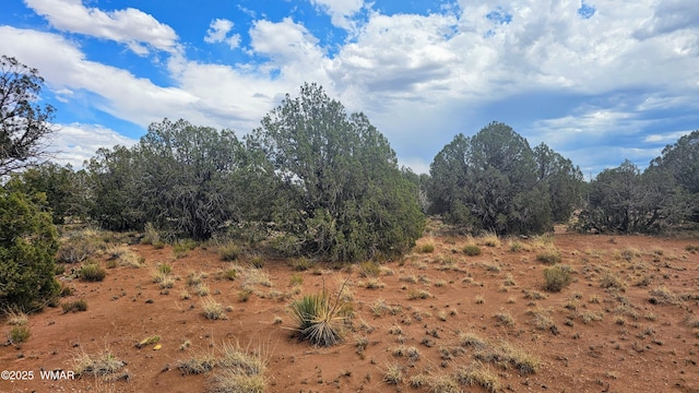 4427 E Pinto Rd, Snowflake, AZ 85937 - photo 3