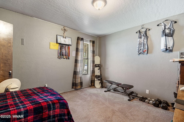389 E 3rd St, Eagar, AZ 85925 - bedroom featuring carpet flooring, a textured ceiling, and a textured wall