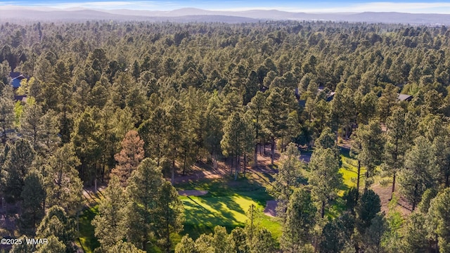 420 N Retreat Way, Show Low, AZ 85901 - aerial overview of property's location featuring a heavily wooded area and a mountain backdrop