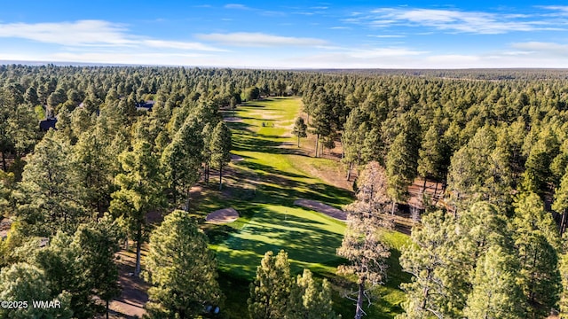 420 N Retreat Way, Show Low, AZ 85901 - aerial view of property's location with a heavily wooded area