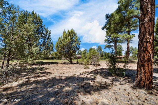 420 N Retreat Way, Show Low, AZ 85901 - view of undeveloped land
