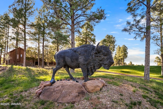 420 N Retreat Way, Show Low, AZ 85901 - view of yard