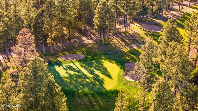 420 N Retreat Way, Show Low, AZ 85901 - drone / aerial view