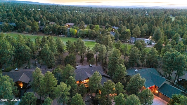 420 N Retreat Way, Show Low, AZ 85901 - aerial view at dusk of a view of trees