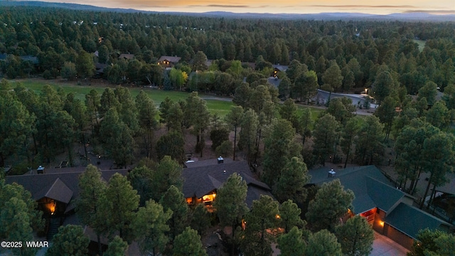 420 N Retreat Way, Show Low, AZ 85901 - aerial view at dusk of a view of trees