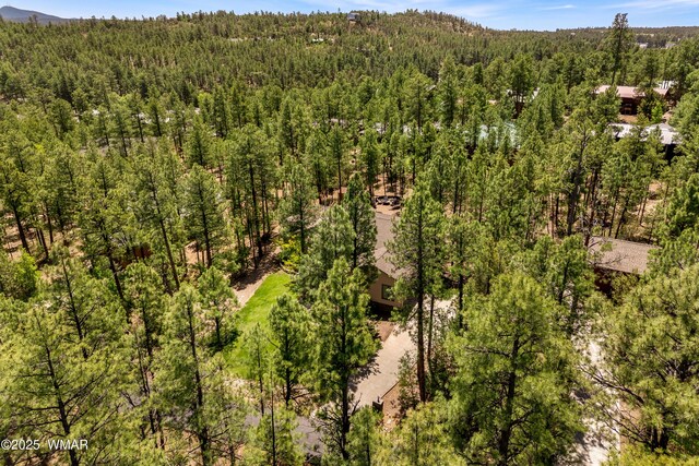1180 E Waterway Ln, Show Low, AZ 85901