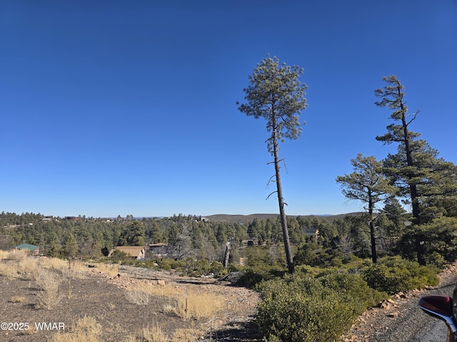 6294 Bull Elk Run, Show Low AZ, 85901 land for sale