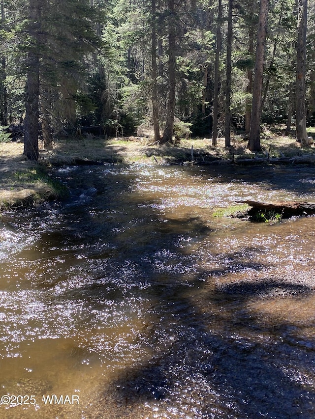 677 Fox Ln, Lakeside, AZ 85929 - view of woods