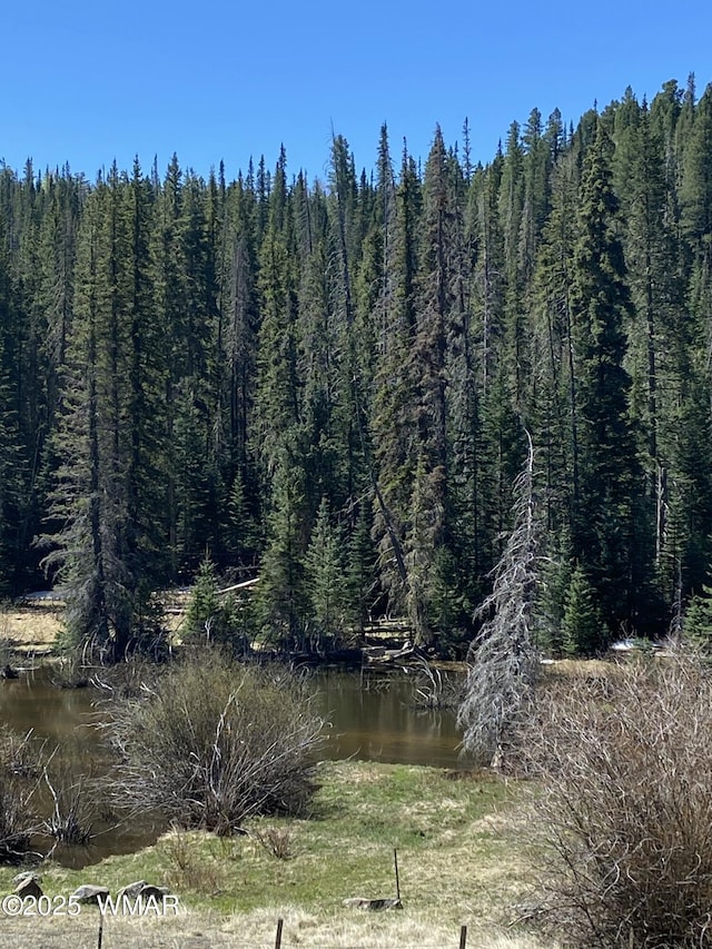 677 Fox Ln, Lakeside, AZ 85929 - water view with a forest