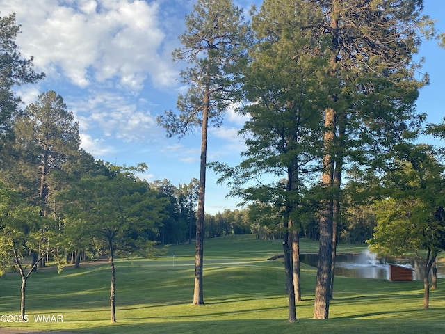 677 Fox Ln, Lakeside, AZ 85929 - surrounding community with a yard, a water view, and view of scattered trees