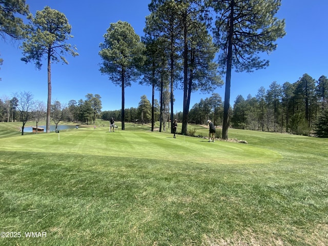677 Fox Ln, Lakeside, AZ 85929 - view of home's community with a lawn, view of golf course, and view of wooded area