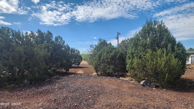 1762 Bighorn Pl, Show Low, AZ 85901 - photo 2