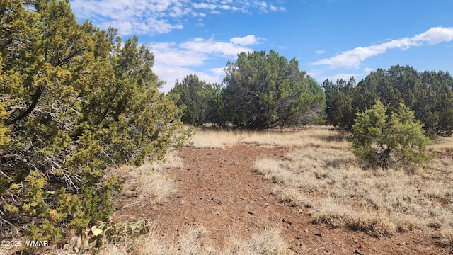 1762 Bighorn Pl, Show Low, AZ 85901 - photo 12
