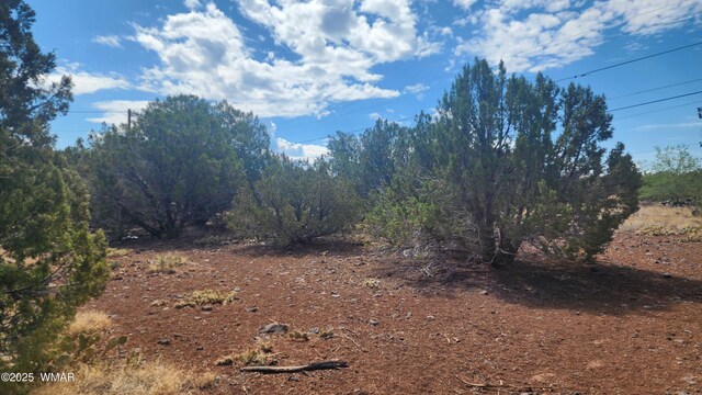 1762 Bighorn Pl, Show Low, AZ 85901 - photo 6