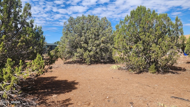1762 Bighorn Pl, Show Low, AZ 85901 - photo 13