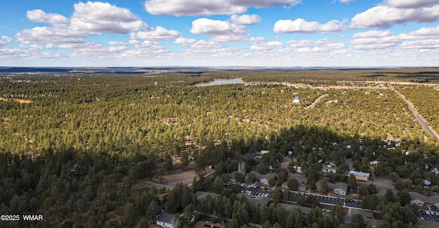 aerial view of a forest