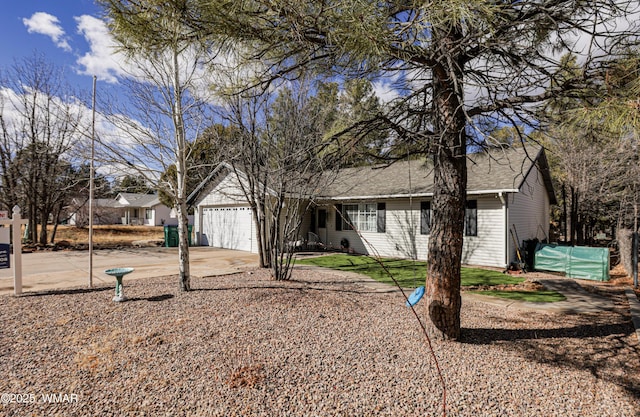 back of house with driveway, a garage, and a shingled roof