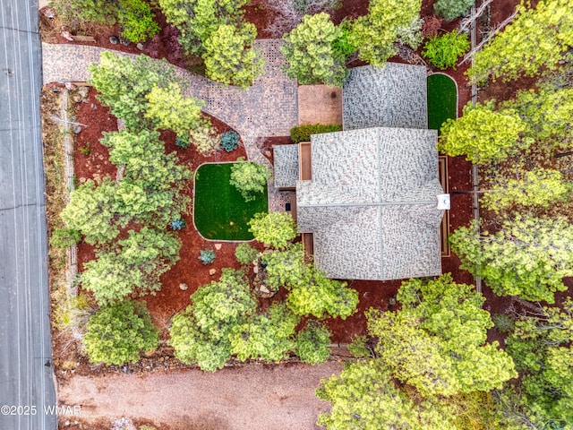 7918 Lakewood Dr, Pinetop, AZ 85935 - photo 41