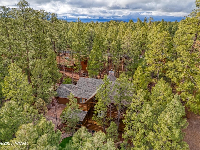 7918 Lakewood Dr, Pinetop, AZ 85935 - photo 44