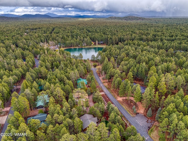 7918 Lakewood Dr, Pinetop, AZ 85935 - photo 3