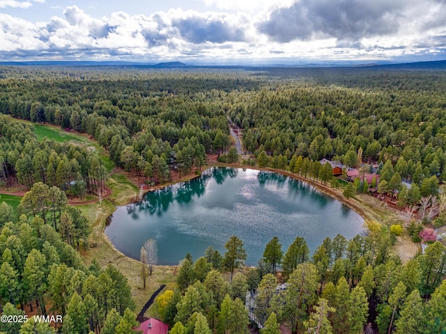 7918 Lakewood Dr, Pinetop, AZ 85935 - photo 43