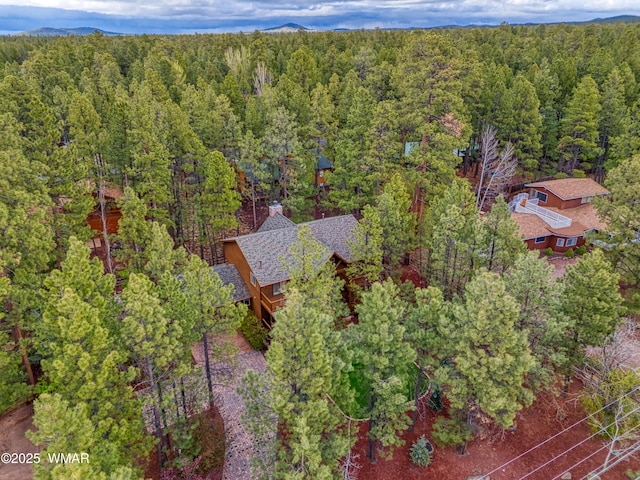 7918 Lakewood Dr, Pinetop, AZ 85935 - photo 40